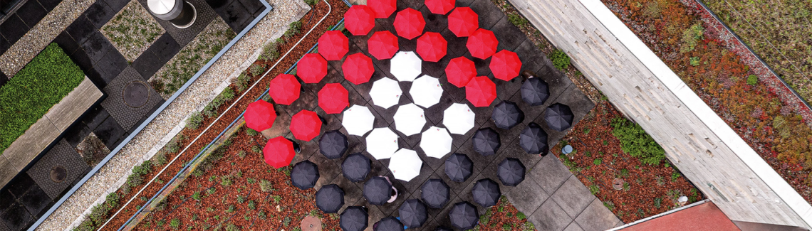 Leiter/in Schadenschätzungen 100%, 1. Bild